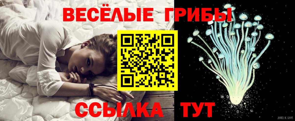 Галлюциногенные грибы мицелий Белогорск