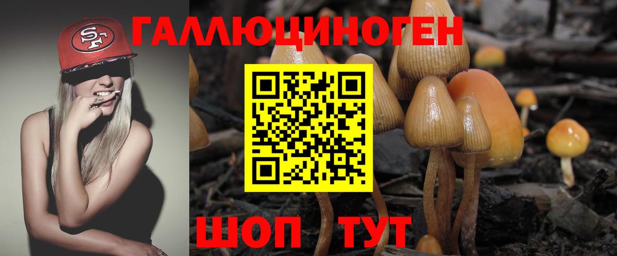 Псилоцибиновые грибы Cubensis  Вход с VPN  Галлюциногенные грибы GOLDEN TEACHER  Белогорск 